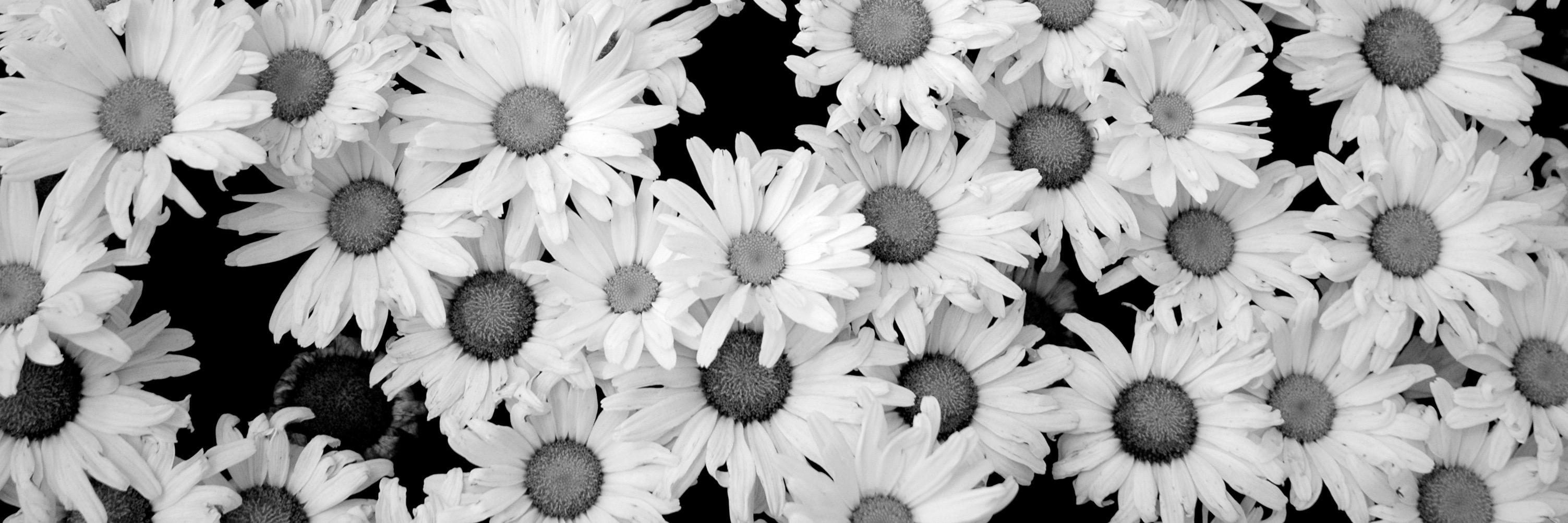 MathildeMereteJ's profile banner image