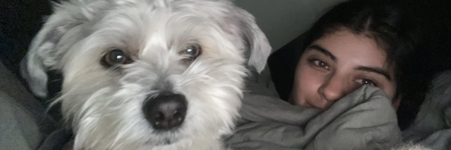 JohnyBoyStatus's profile banner image