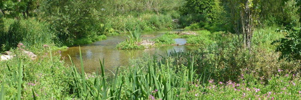 Action for the River Kennet (ARK)'s banner