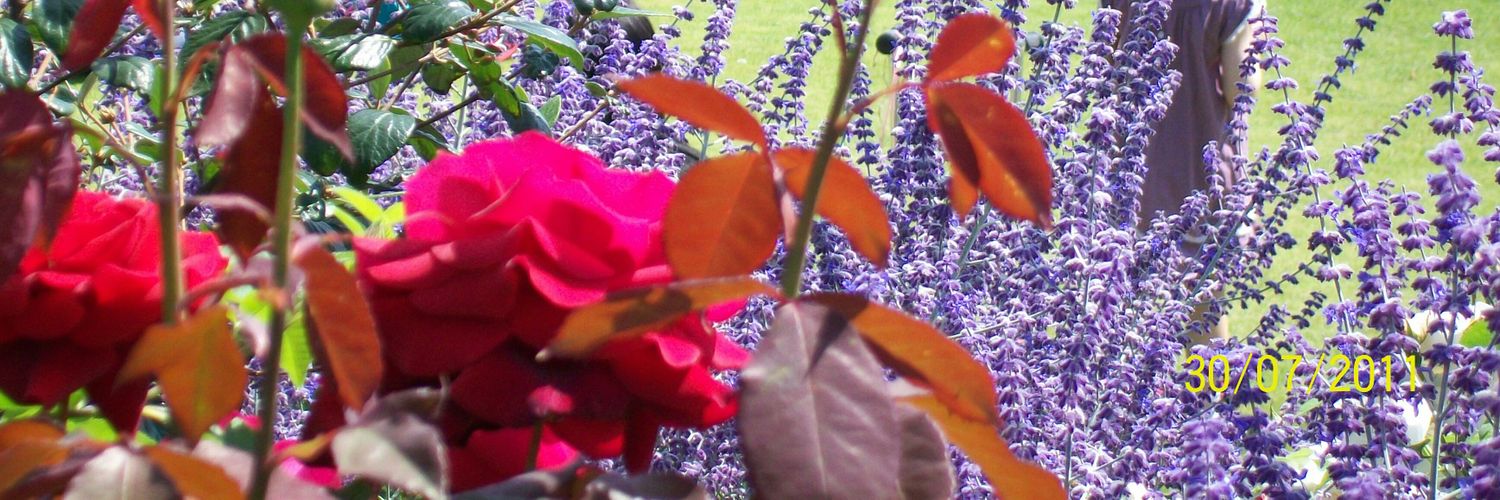 Minima_tweets's profile banner image