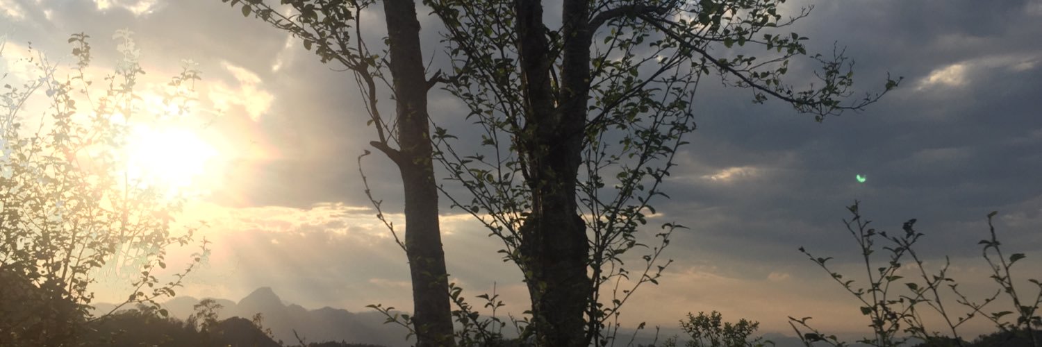 OLIVAPARAMO's profile banner image