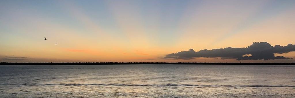 brunomagno's profile banner image
