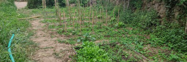 JosepMPiquer Profile Banner