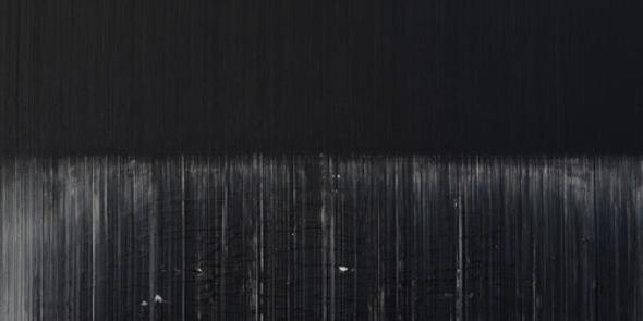 Carolina Zapater banner