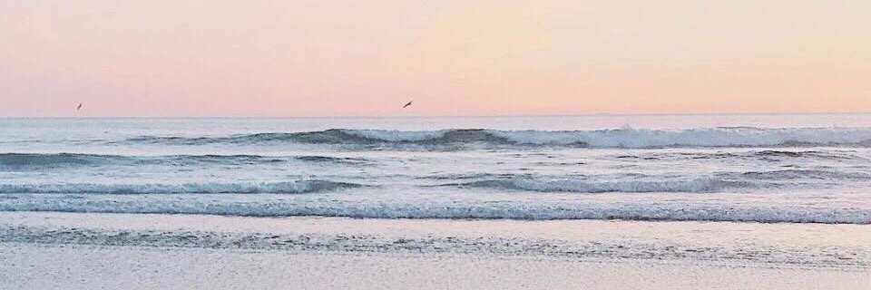 leyluu99's profile banner image