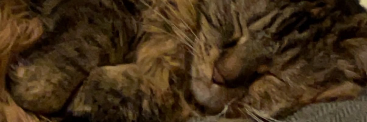 emmadodson1's profile banner image