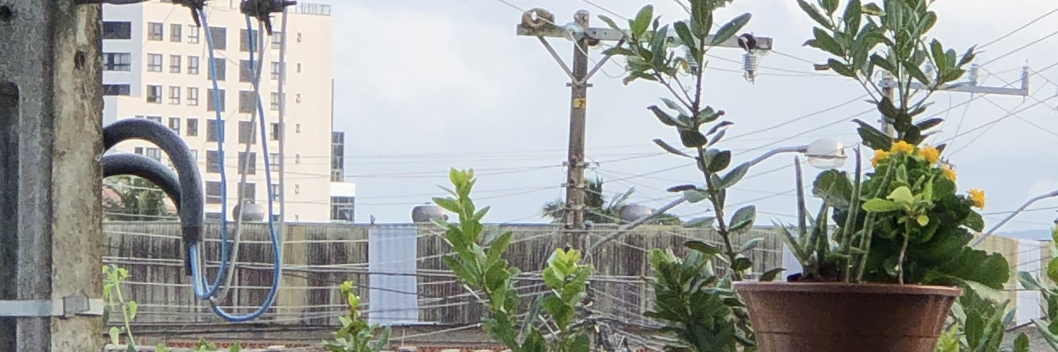 viteum_'s profile banner image