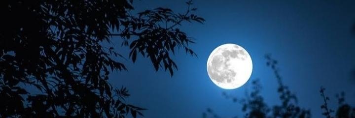 sagar8201's profile banner image