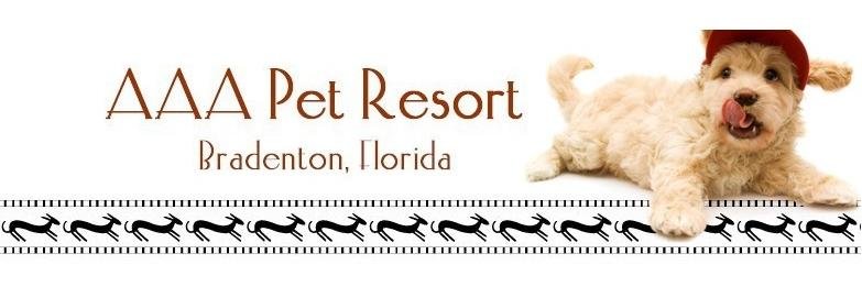 AAAPetResort's profile banner image