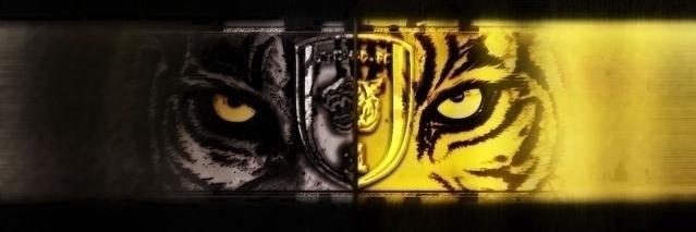 ilazil's profile banner image