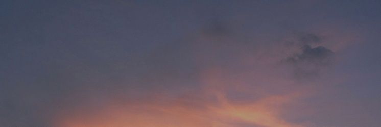 Zayn Adam banner