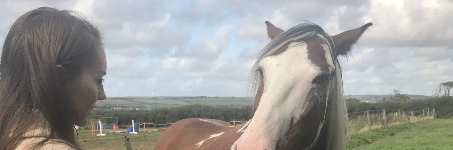 TomGabriel22's profile banner image
