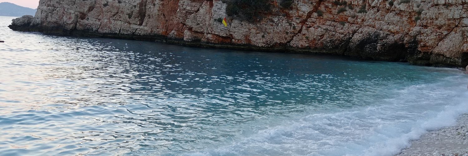 seabirdsea's profile banner image