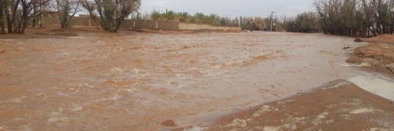 عبدالله ابراهيم banner