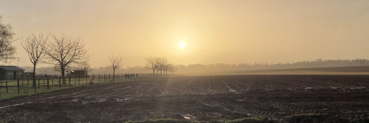 Arnaud van Beek banner