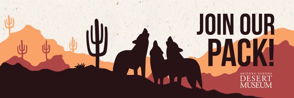 desertmuseum Profile Banner