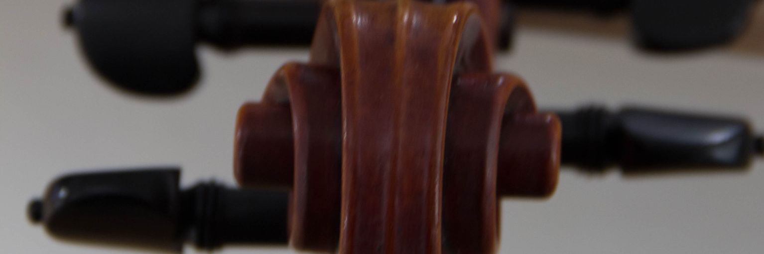 Maria_deFrutos's profile banner image