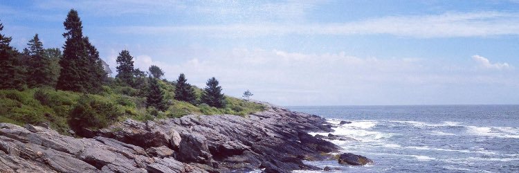 AmandaKNick's profile banner image