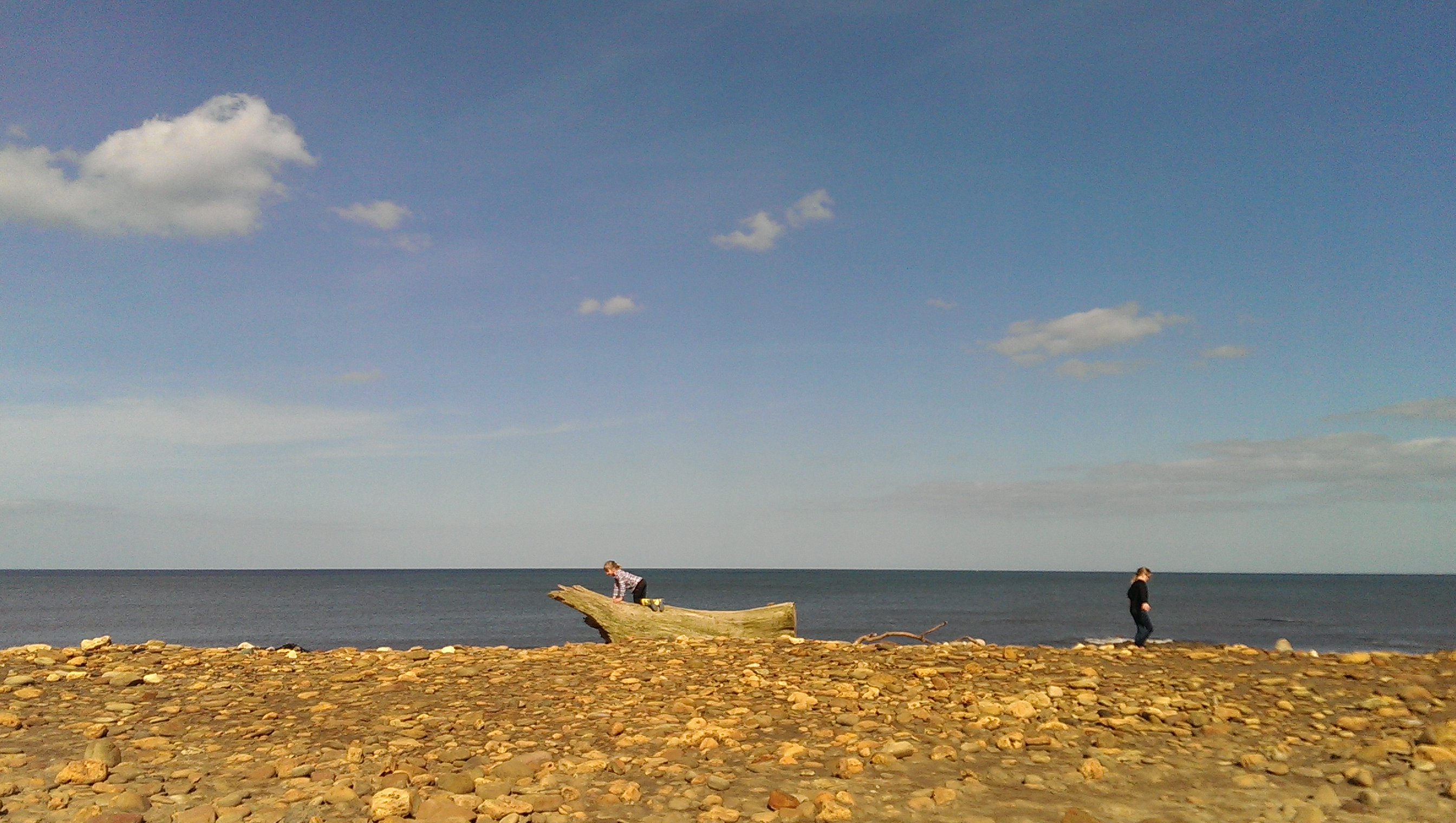 bacondust🇺🇦 banner