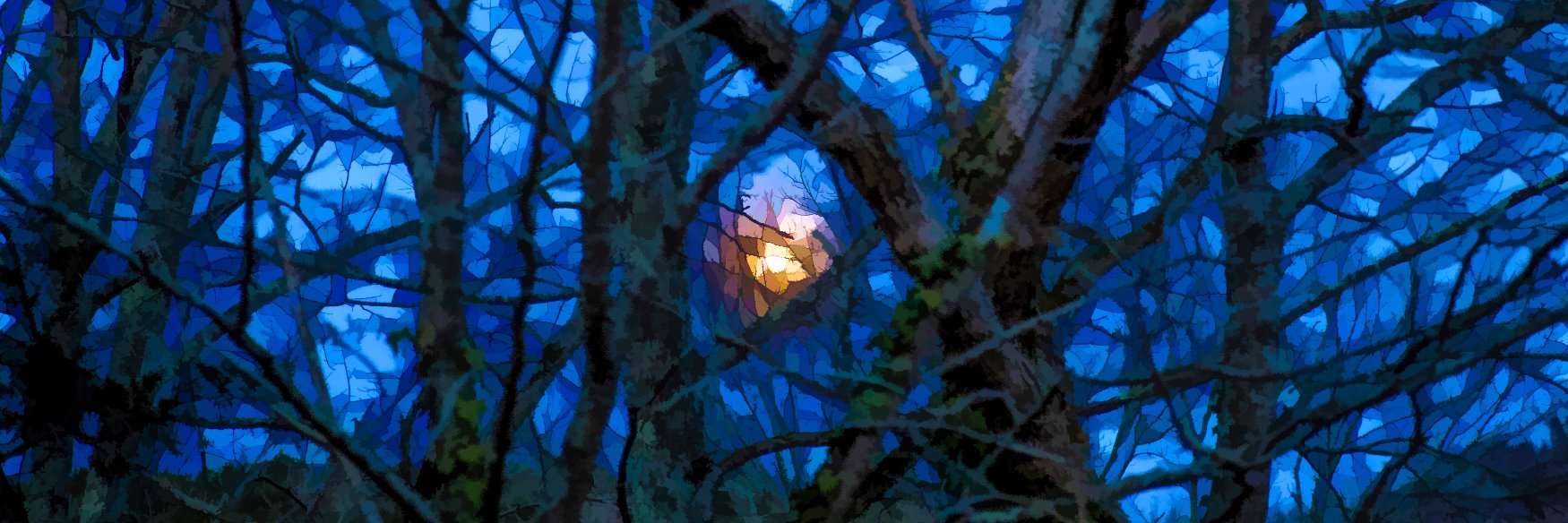 lisalpow's profile banner image