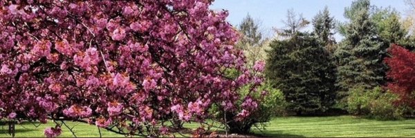 Outrageous__fun Profile Banner