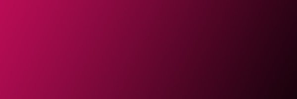 INED21 Profile Banner