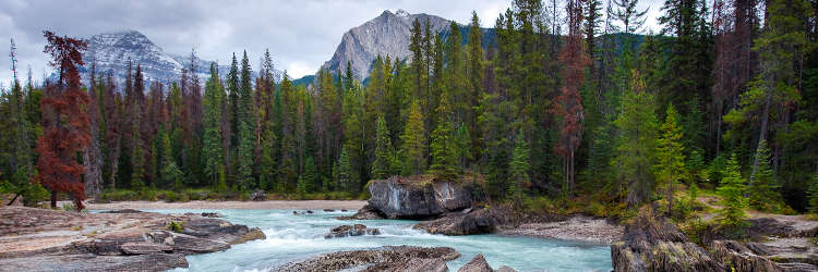 Recycling Council AB banner