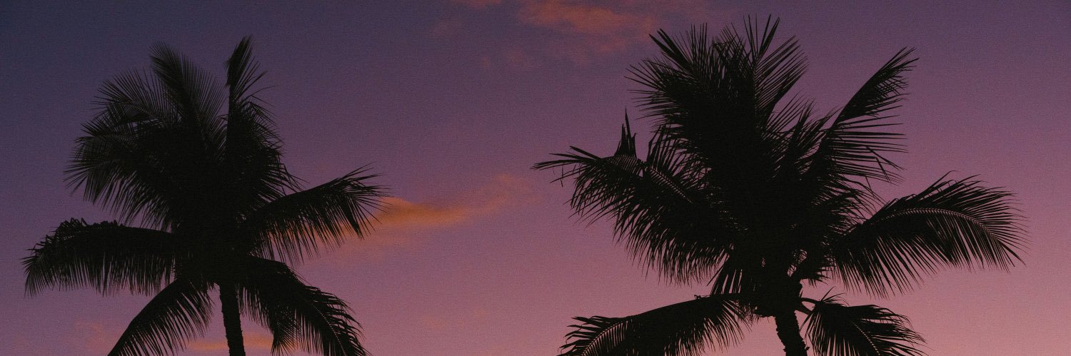 nora💋 banner