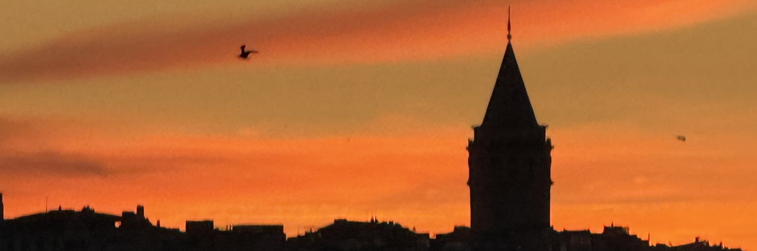 sezginrowing's profile banner image