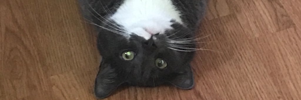 TheJackAdams's profile banner image