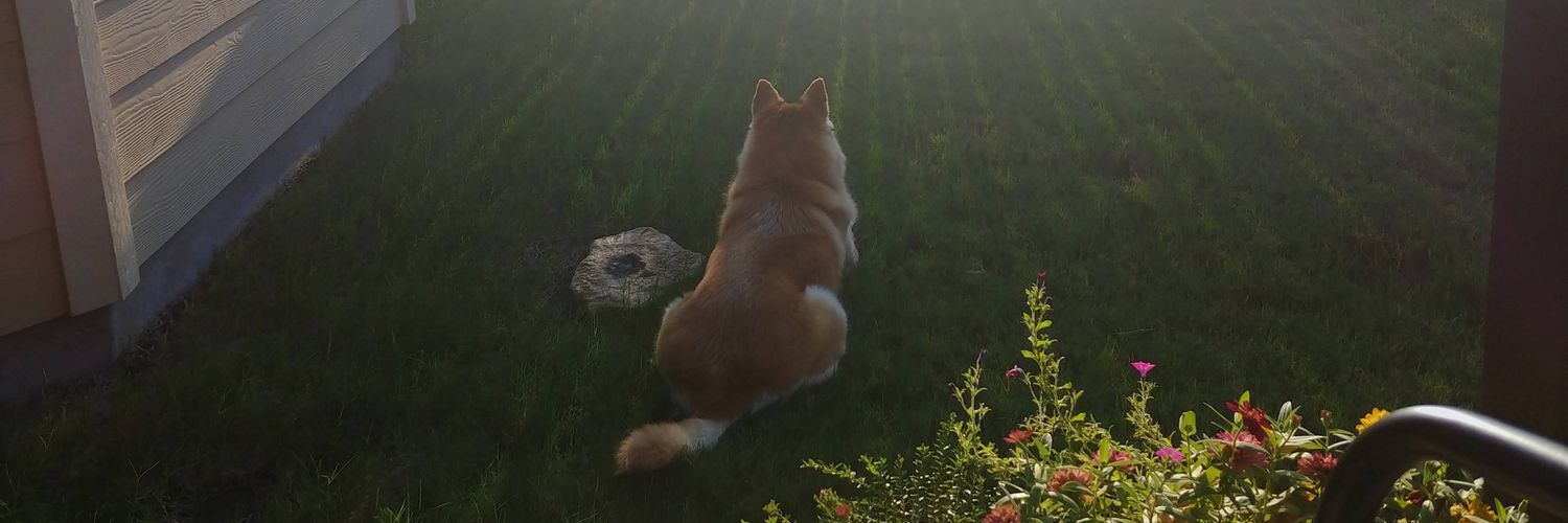 crwooten's profile banner image