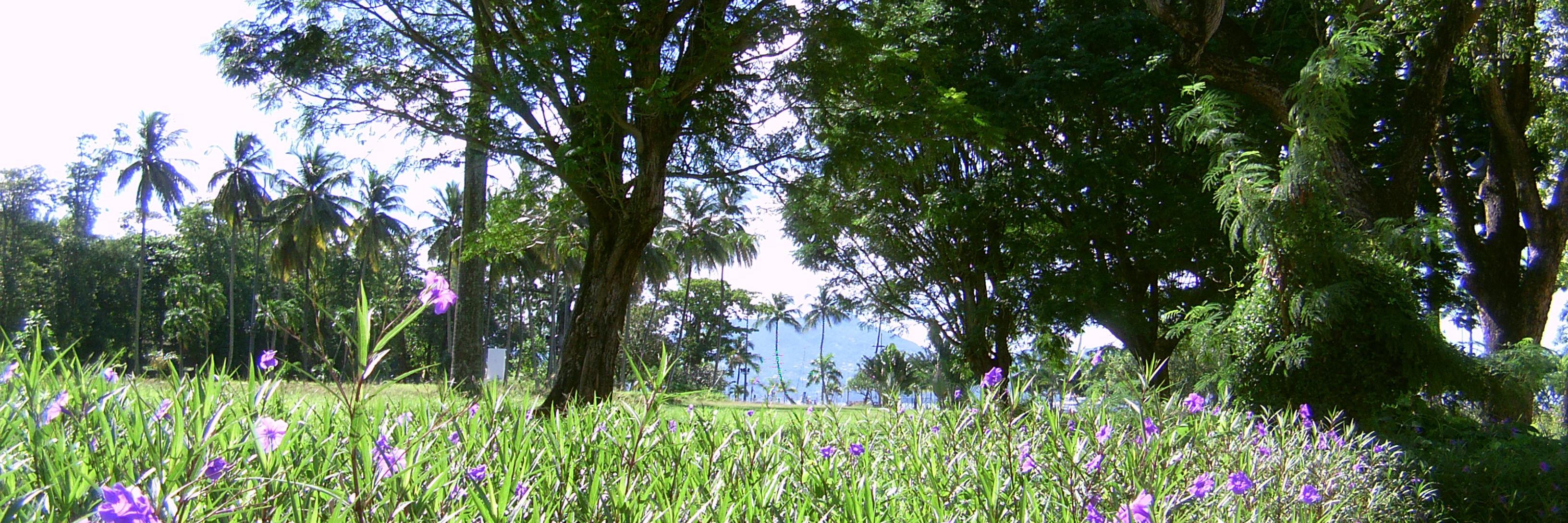 jpm_web's profile banner image