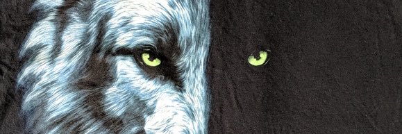 Gjovvv's profile banner image