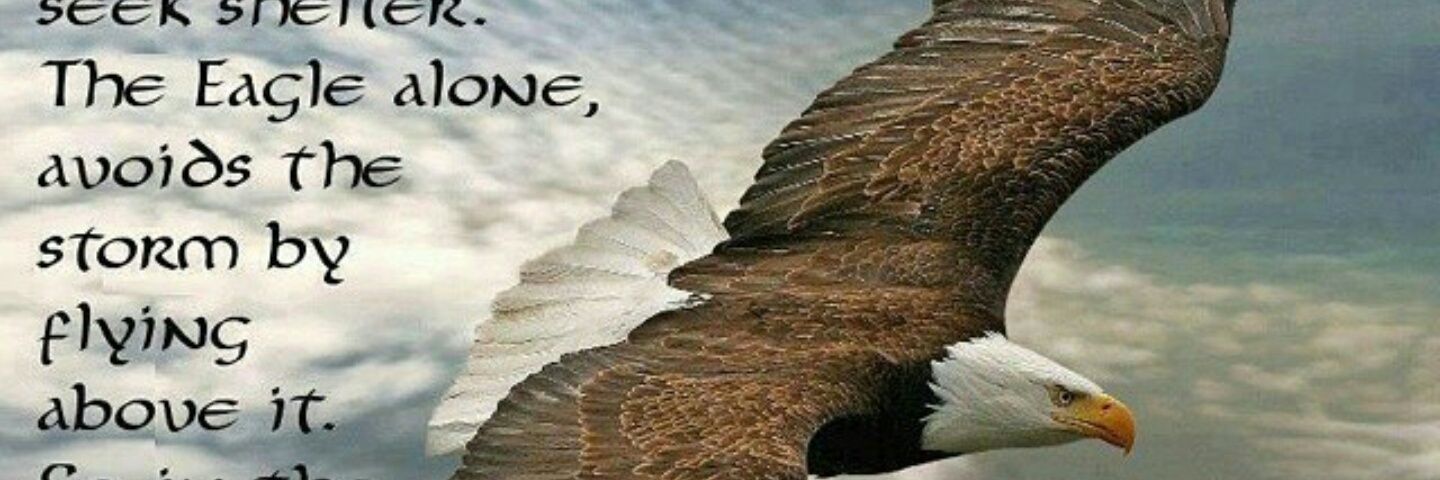CherettaBlue's profile banner image