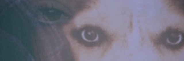 cpalermo22's profile banner image