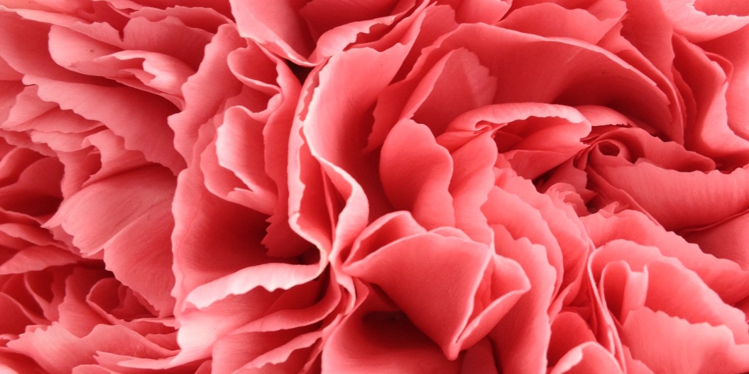 BoudreauMalaina's profile banner image