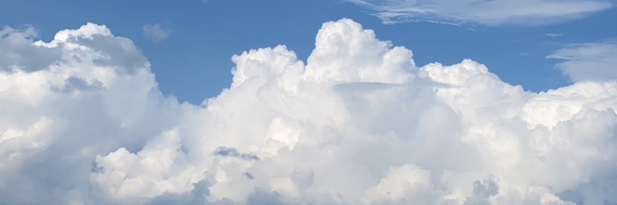 Vigorous_t's profile banner image