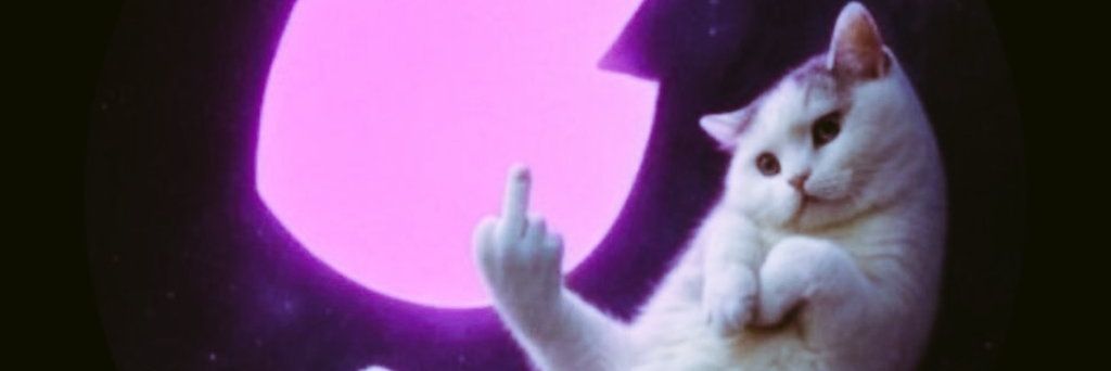 doubleU🌙🐱's banner
