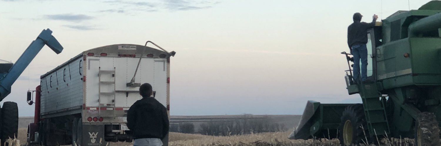 SandyPearson2's profile banner image