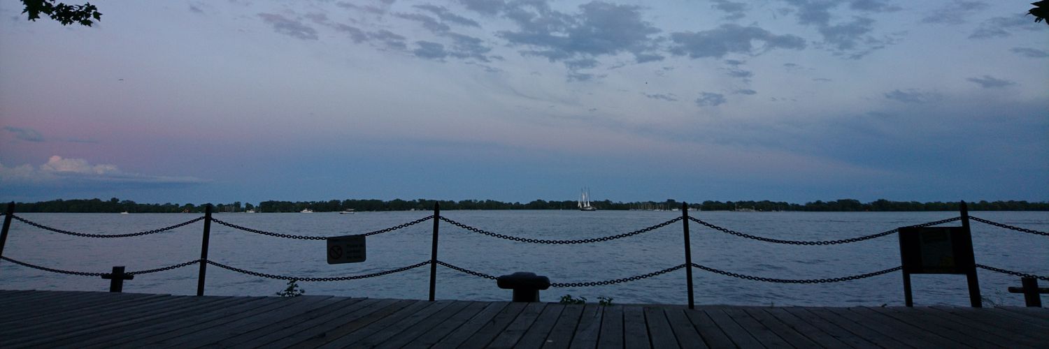 Alexandra Mosquera banner