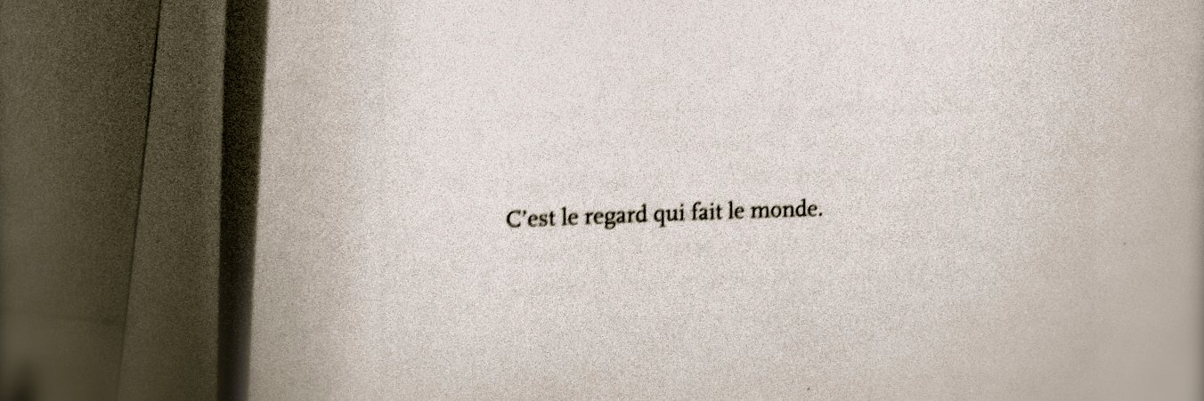 francesca mannocchi banner