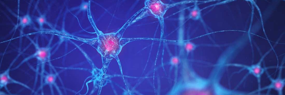 Neuron banner