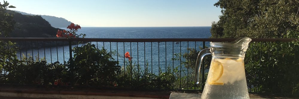 Ludovico Paveri banner