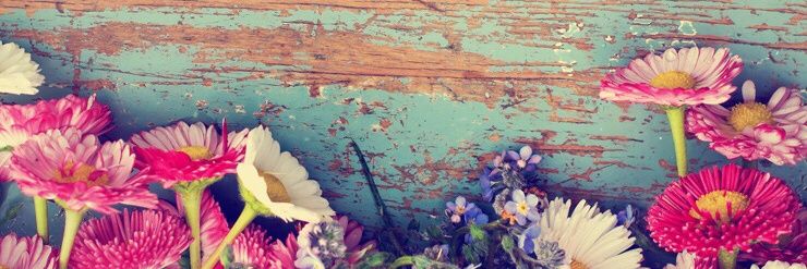 karlaferrera18's profile banner image