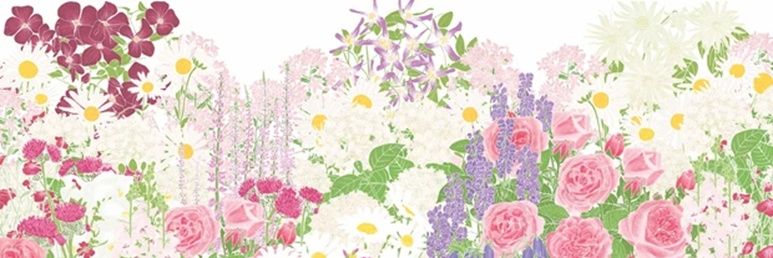 Born_Cutie95's profile banner image