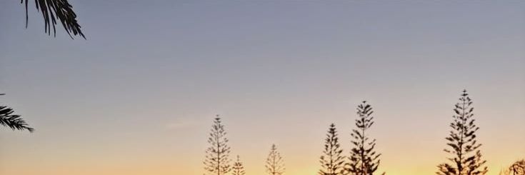 rs6661's profile banner image