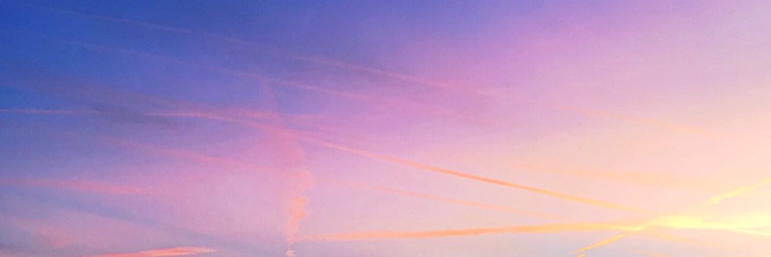 sylvain Marconnet banner