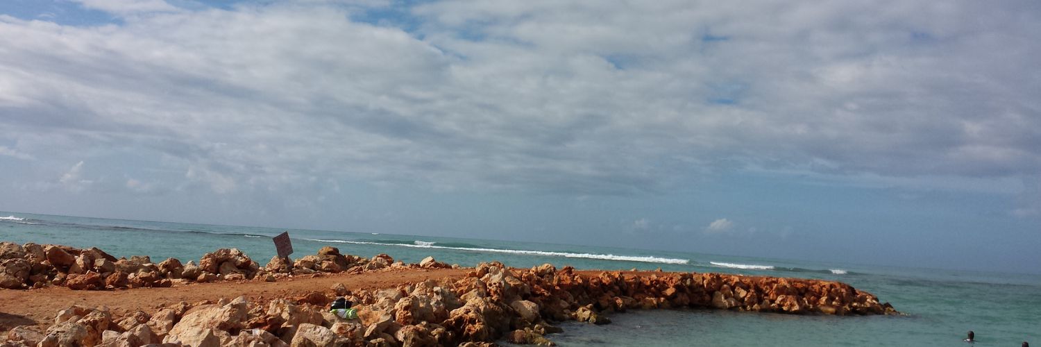 mshewit's profile banner image