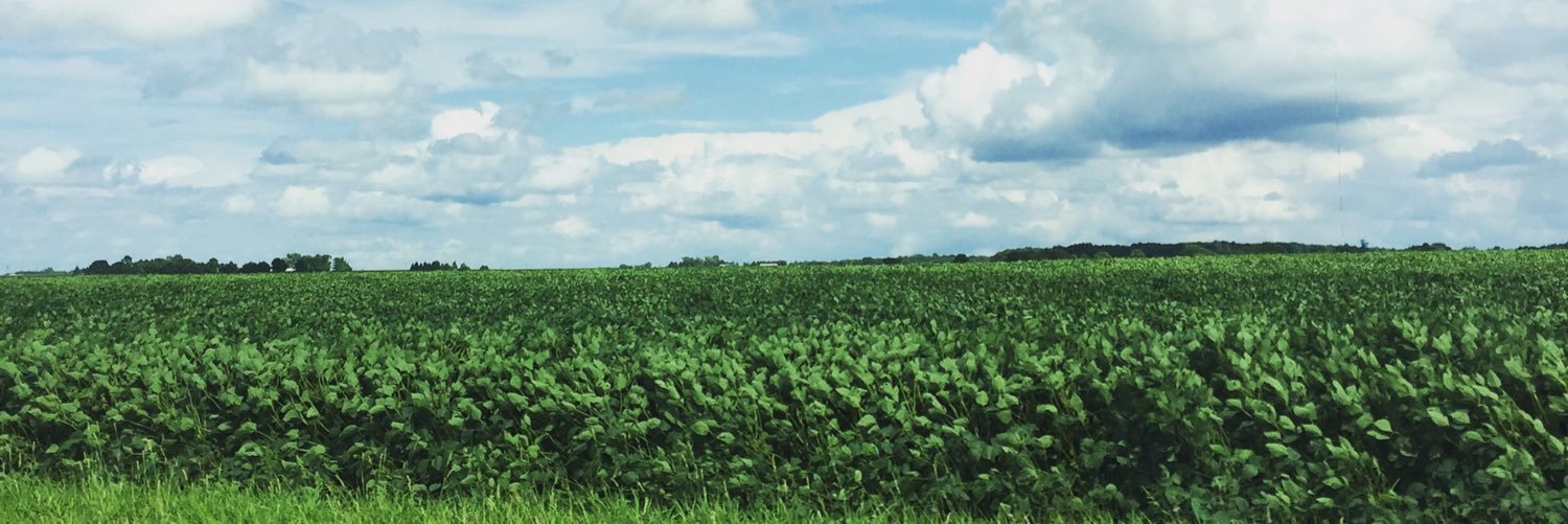 JennNKy's profile banner image