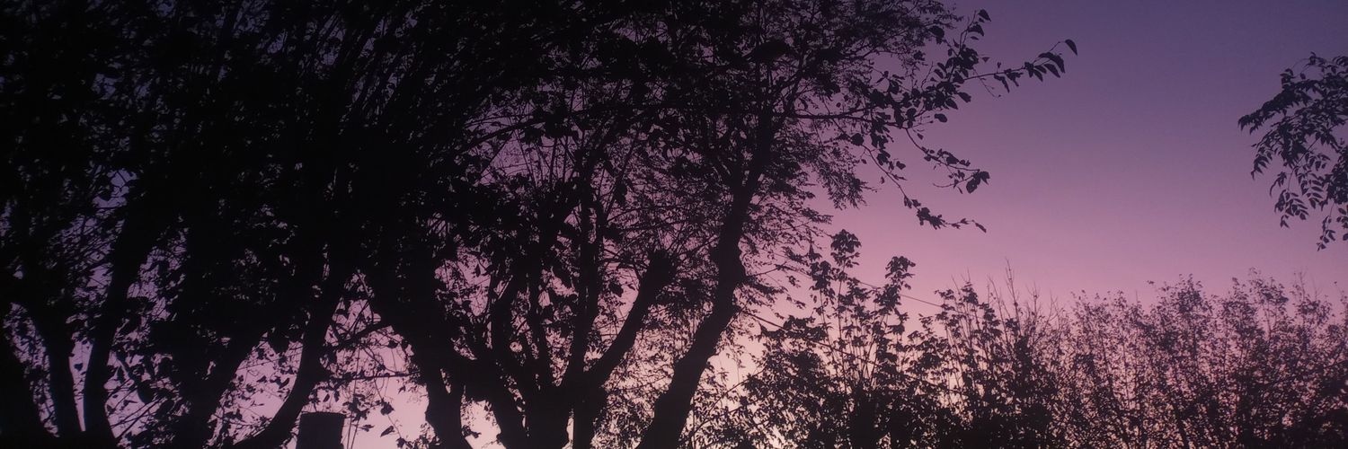 GiooviMarchetti's profile banner image